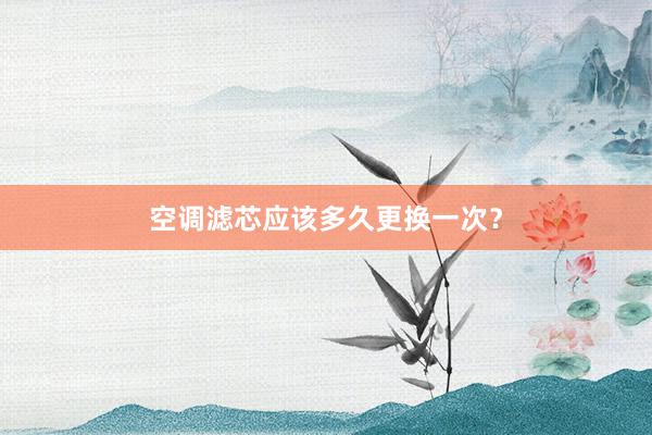 空调滤芯应该多久更换一次？